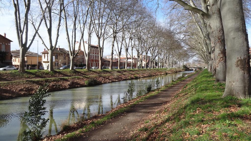 Le Brienne Toulouse Centre Apartment Ngoại thất bức ảnh
